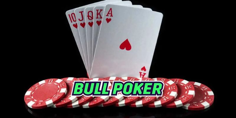 Giới thiệu sơ lược về trò chơi Poker Bull